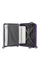 TRIBUS SPINNER 69/25  hi-res | American Tourister