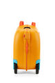 SKITTLE NXT SPINNER 50/18  hi-res | American Tourister