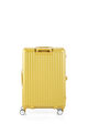LOCKATION SPINNER 65/24 FRAME  hi-res | American Tourister