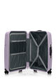 LINEX SPINNER 66/24 TSA R V2  hi-res | American Tourister